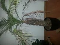 20121001_174917.webp