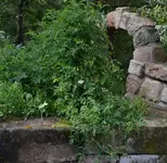 ingistern.webp