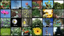September 2012v.webp