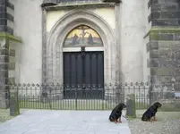 Lutherkirche.webp