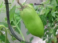 BILD0910.webp