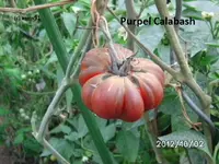 BILD0911.webp