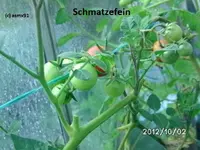 BILD0915.webp