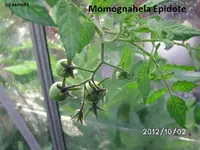 BILD0917.webp