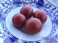 BILD0923.webp
