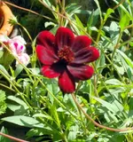 SDC15002-001.webp
