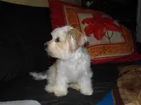 SDC10532.webp