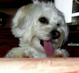 SDC13572.webp