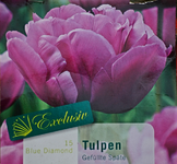 Korb mit 15x Tulpe_Blue Diamond_640.webp