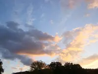DSC00600.webp