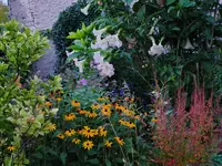 BuntesBeet_153.webp