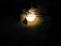 Vollmond_437.webp