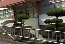 Baum korea.webp