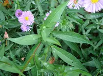 DSC01650.webp
