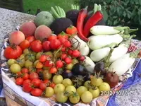 BILD0925.webp
