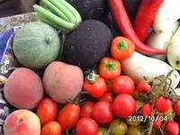 BILD0926.webp