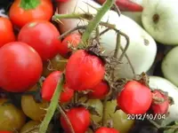 BILD0928.webp