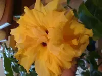 DSC00623.webp