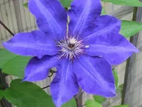 025.webp