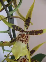 DSCF5429.webp