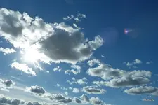 P1070377.webp