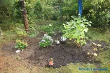 comp_DSC08570.webp