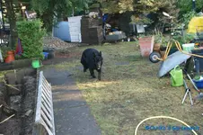 comp_DSC08573.webp