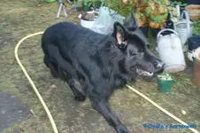 comp_DSC08574.webp