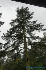 comp_DSC08576.webp