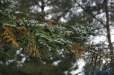 comp_DSC08575.webp