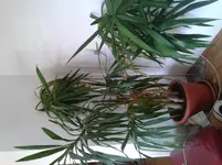 2012-10-05 11.52.55.webp