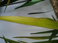 2012-10-05 11.46.17.webp