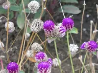 120.webp