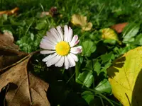 034.webp