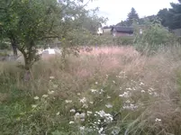 Foto0574.webp
