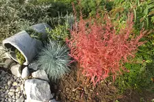 2012_1005Herbst0015.webp