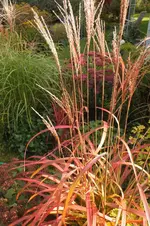 2012_1005Herbst0019.webp