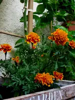 IMG_3898.webp
