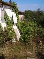 Foto0597.webp