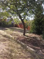 Foto0622.webp