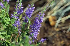 IMG_0847-web.webp