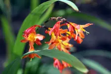 IMG_0871-web.webp