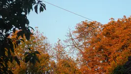 DSCN3846.webp