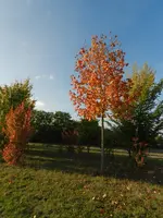 Herbstzauber_227.webp