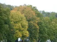 DSC00713.webp