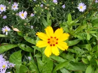DSC00714.webp