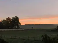 Der Tag erwacht_008.webp