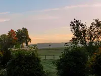 Der Tag erwacht_016.webp
