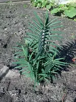 2012-09-30_15-03-47_576_klein.webp