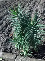 2012-09-30_15-02-35_514_klein.webp